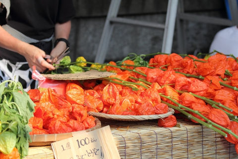 浅草ほおずき市2