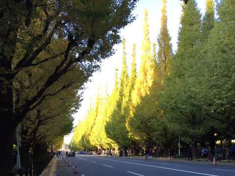 神宮外苑いちょう祭り