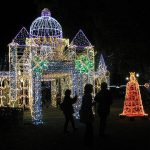 ひろしまドリミネーション