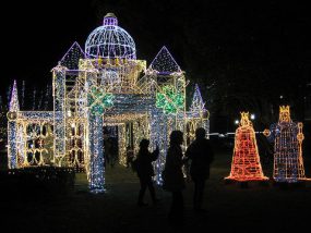 ひろしまドリミネーション