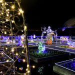 イルミネーションとっとり花回廊