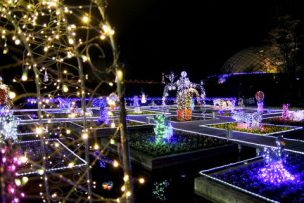 イルミネーションとっとり花回廊