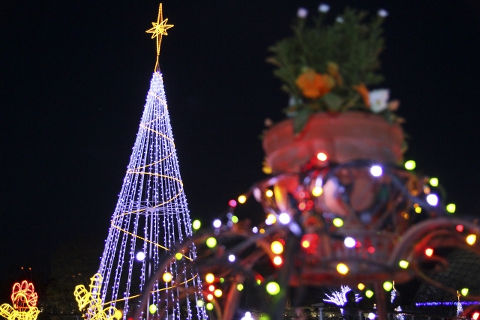 イルミネーションとっとり花回廊