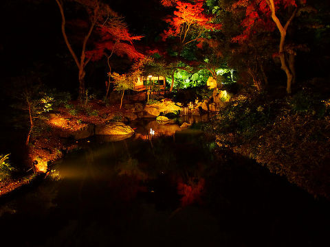 Photo by Makoto Nakashima - PB300050