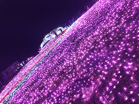 さがみ湖イルミリオンの写真