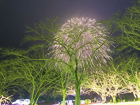 さがみ湖イルミリオンの写真