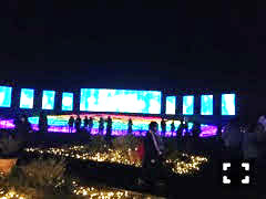 東武動物公園ウィンターイルミネーションの写真