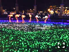 東武動物公園ウィンターイルミネーションの写真