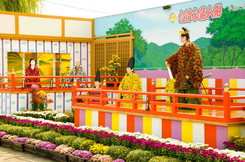 たけふ菊人形