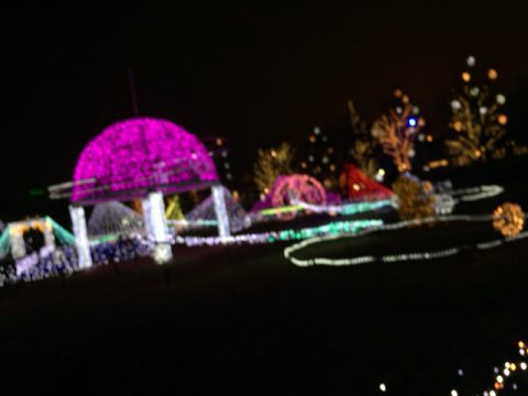 国営アルプスあづみの公園光の森のページェントの写真