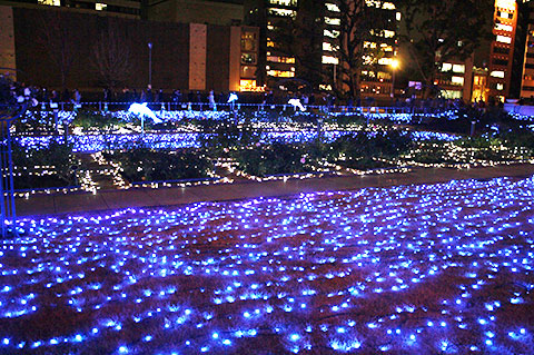 大阪・光の饗宴のイルミネーション写真
