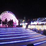 神戸イルミナージュの写真