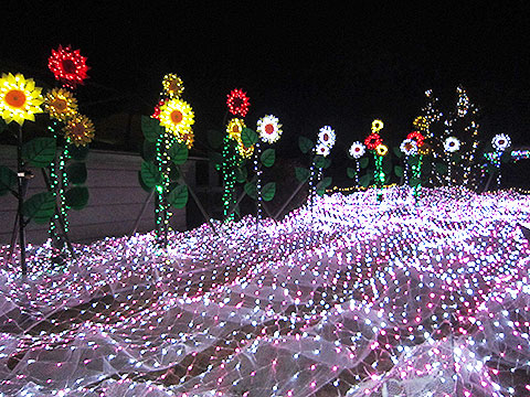 神戸イルミナージュの写真