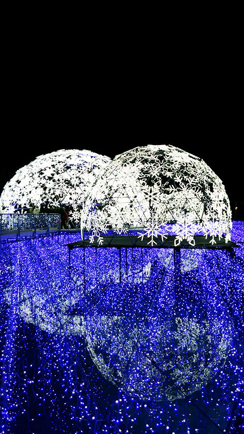 ラグーナテンボスイルミネーションの写真