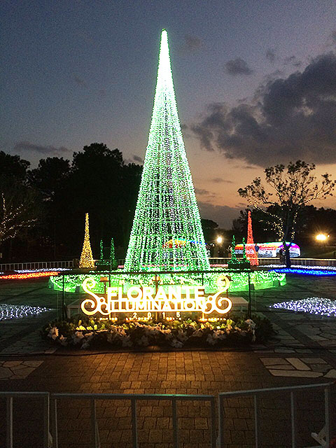 宮崎フローランテフラワー・ガーデン・イルミネーションの写真