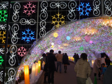 御殿場時之栖イルミネーションの写真