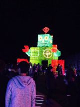 東京ドイツ村ウィンターイルミネーションの写真