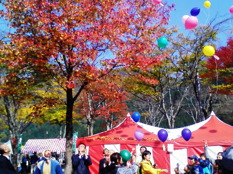 九頭竜紅葉まつり