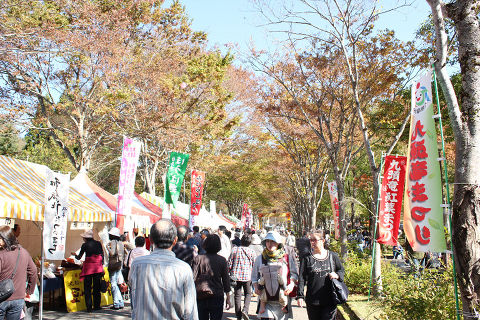 九頭竜紅葉まつり