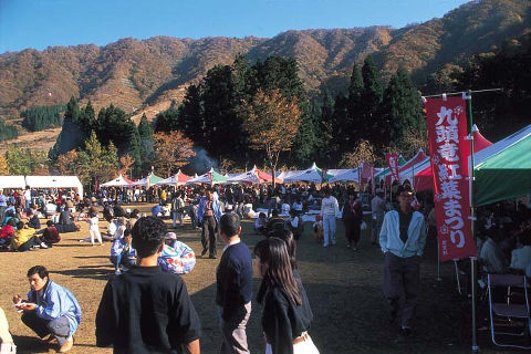 九頭竜紅葉まつり