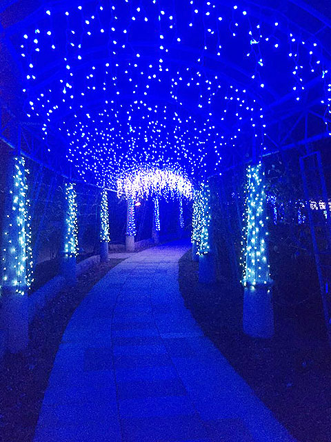 ハイジの村イルミネーションの写真