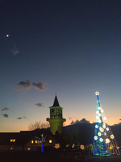 ハイジの村イルミネーションの写真