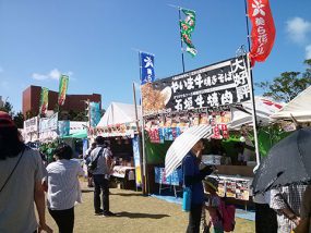 石垣島まつりの写真