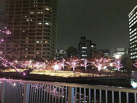 目黒川みんなのイルミネーションの写真