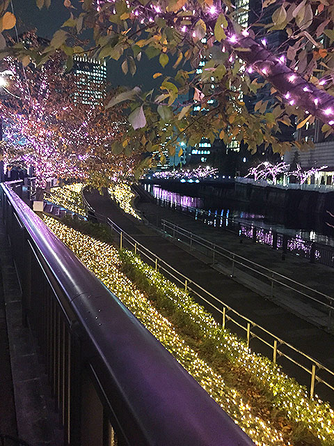 目黒川みんなのイルミネーションの写真