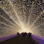 なばなの里ウィンターイルミネーションの写真
