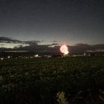 山形花火大会 - 道路から