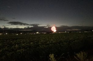 山形花火大会 - 道路から