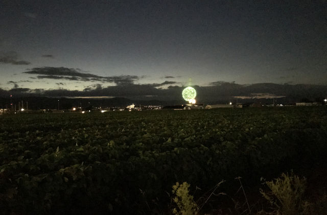 山形花火大会 - 道路から